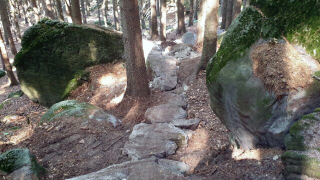Det fedeste spor i Europa? Trutnov Trails