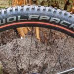 Wolfpack Trail – måske dit næste dæk?