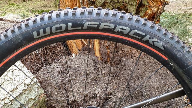 Wolfpack Trail – måske dit næste dæk?