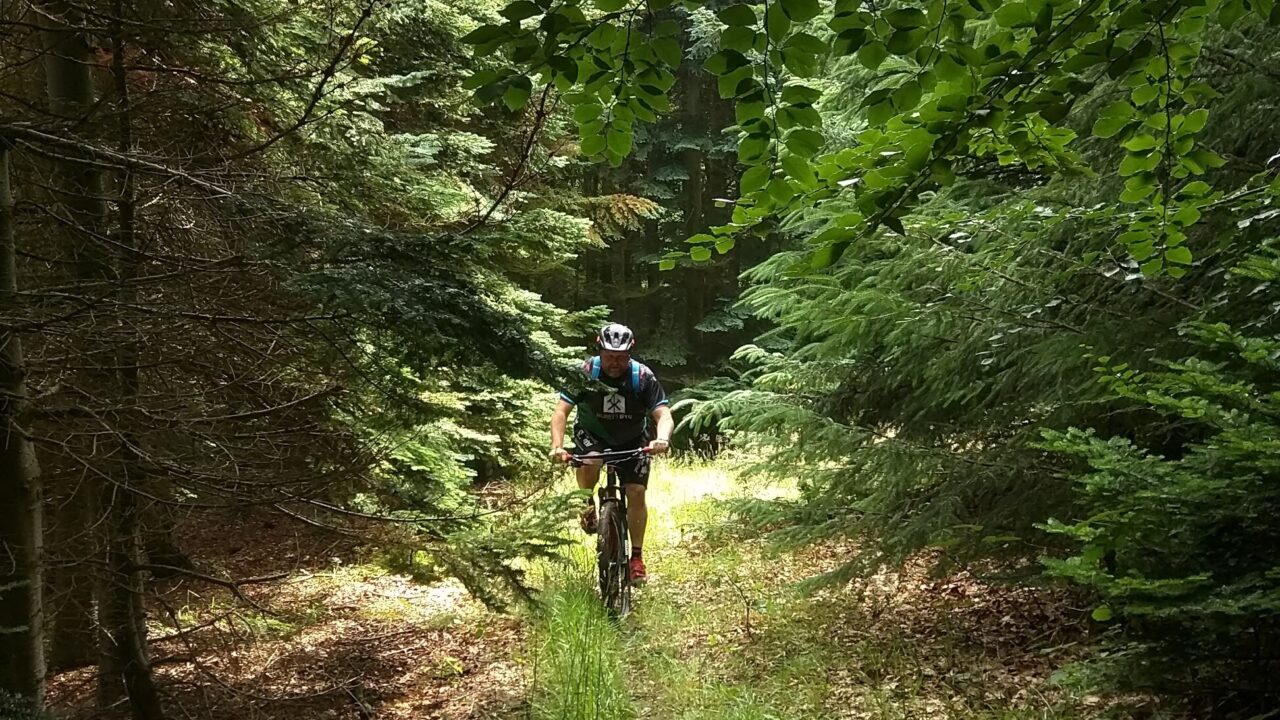 På mountainbike i Fredericia