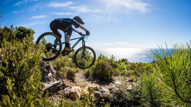 Canyon Strive med 29″ hjul og revideret shapeshifter