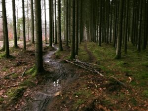 Foto: Christian Botved Poulsen