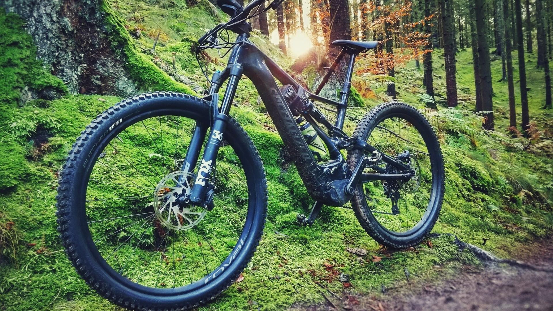 levo expert carbon 2019